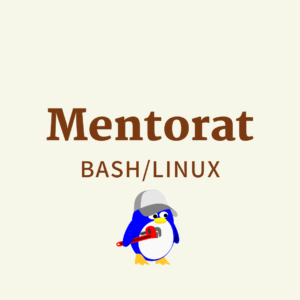 Mentorat en Bash Linux