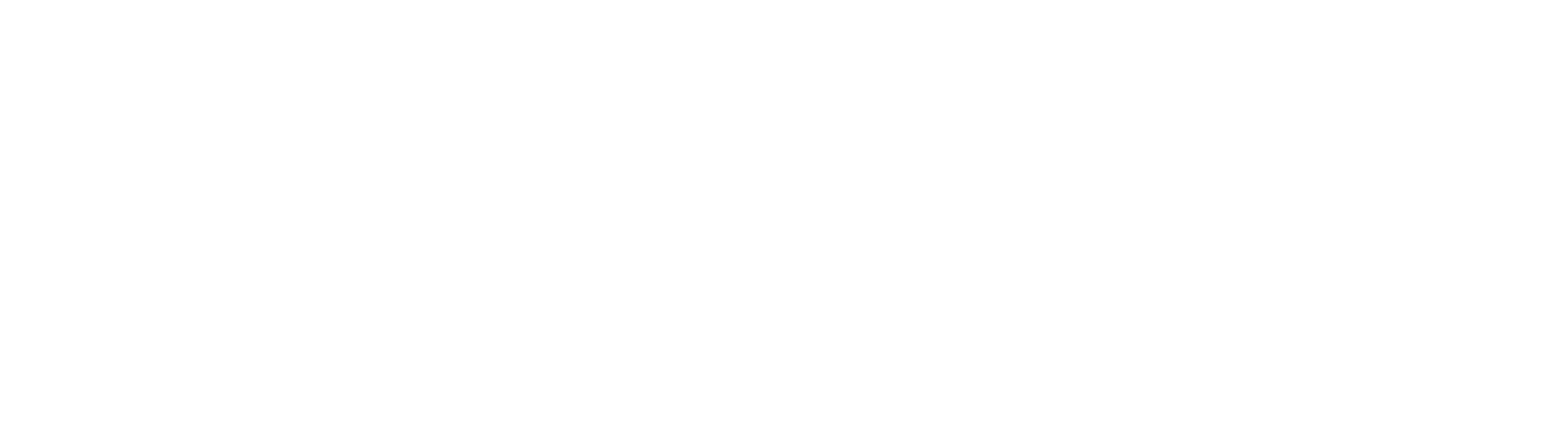 datainsight-formation